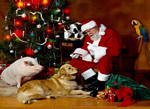 Immagini Natale